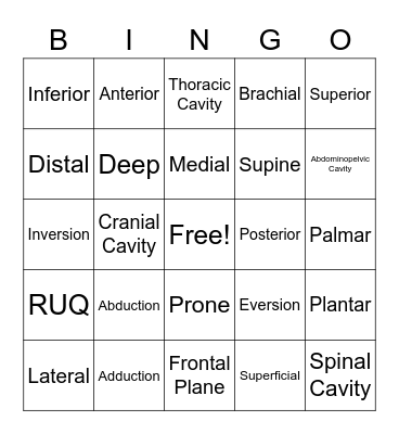 Body Organization review 1 Bingo Card