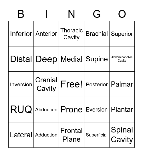 Body Organization review 1 Bingo Card