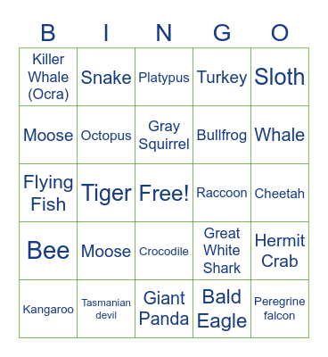 Animal Bingo Card