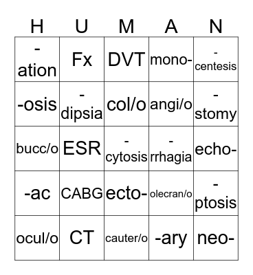 Medical Terminology with Anatomy & Physilogy  Bingo Card