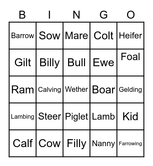 Ag Bingo Card