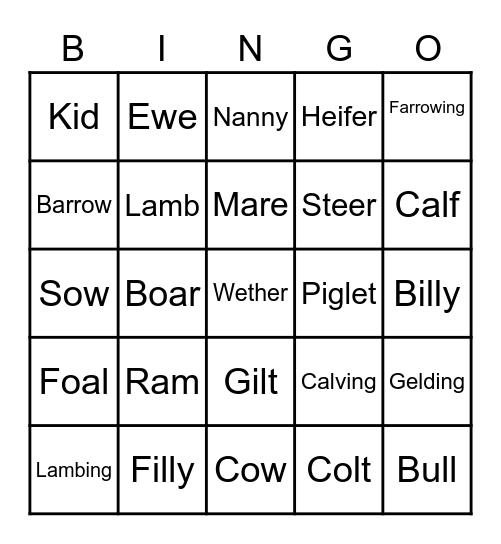 Ag Bingo Card