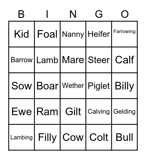 Ag Bingo Card