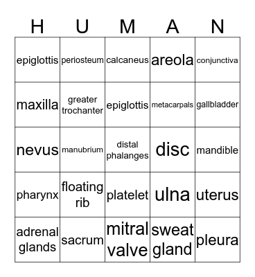 Medical Terminology with Anatomy & Physiology Bingo Card