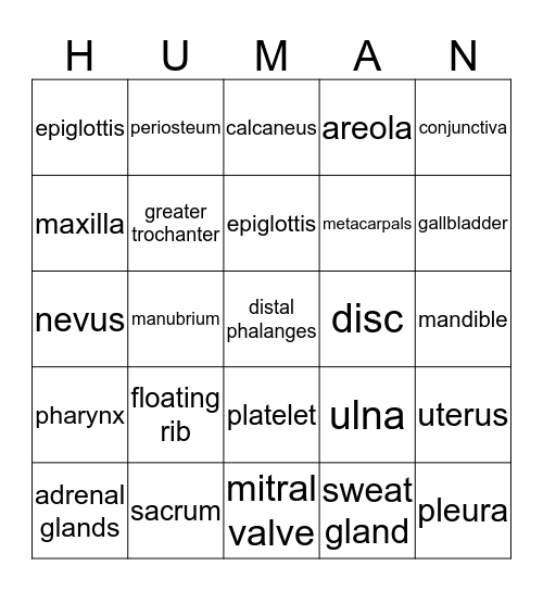Medical Terminology with Anatomy & Physiology Bingo Card
