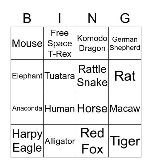 Animal Trivia Bingo Card