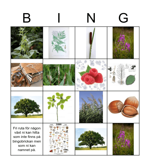 Naturbingo Card