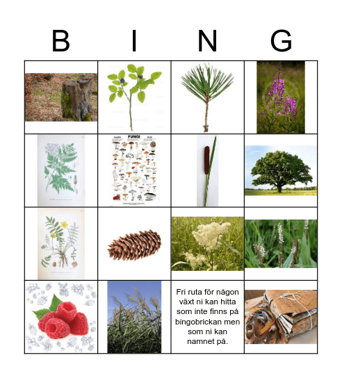 Naturbingo Card