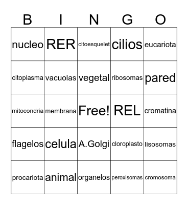 CELULA Bingo Card