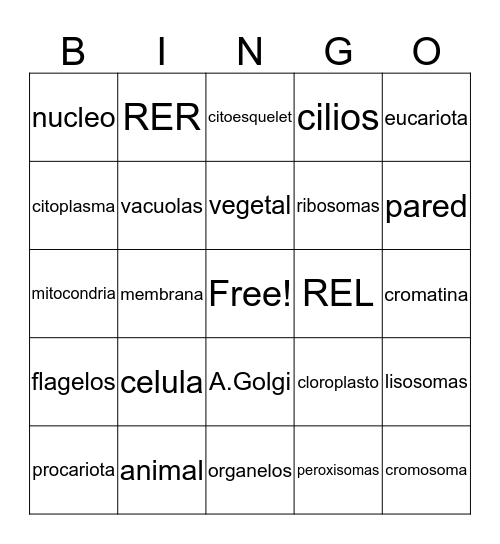 CELULA Bingo Card