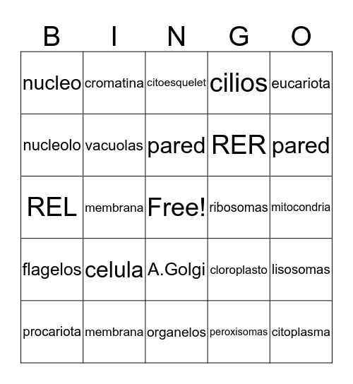 CELULA Bingo Card