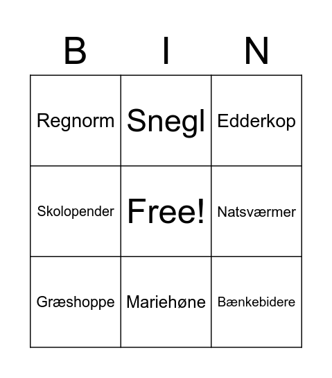Insekter Bingo Card