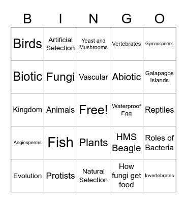 Unit 2 Quiz Bingo Card