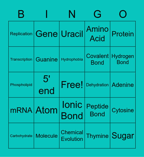Chapter 2 Biology Review Bingo Card