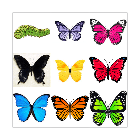 Butterfly Bingo Card