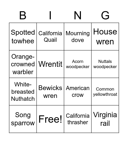 Bird Bingo Card