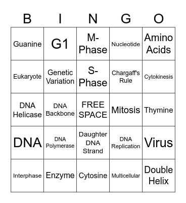 Cell Cycle BINGO Card