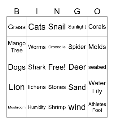Ecosystem Bingo Card