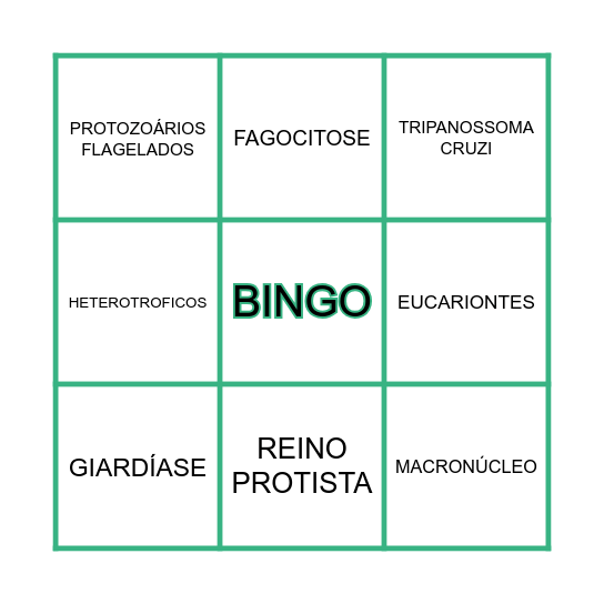 BINGO - PROTOZOÁRIOS Bingo Card