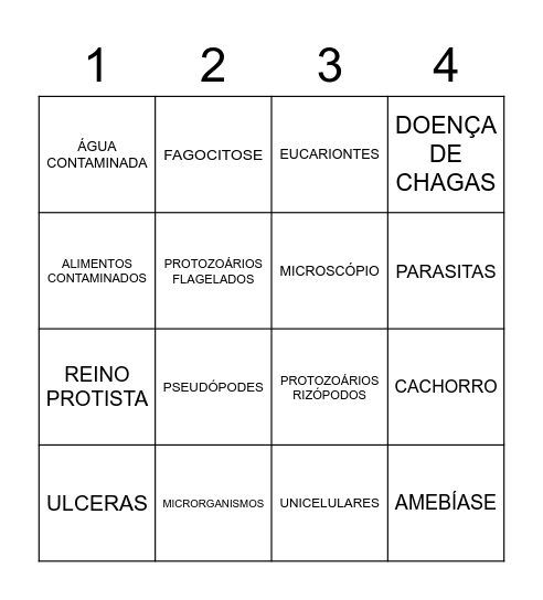 BINGO - PROTOZOÁRIOS Bingo Card