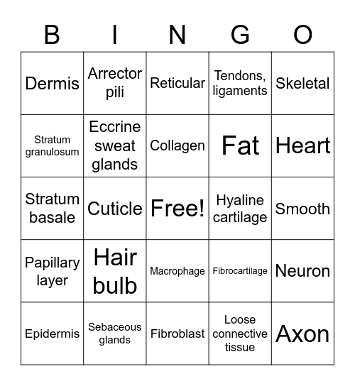 BIO 141 Tissues Skin Rappahannock CC Bingo Card