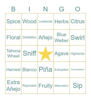 TEQUILA TASTING | BOOZY BINGO Card