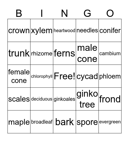 Trees Bingo Card