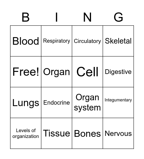 Unit  1 Bingo Card