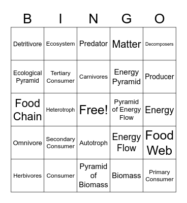 Flow of Matter and Energy Bingo Card