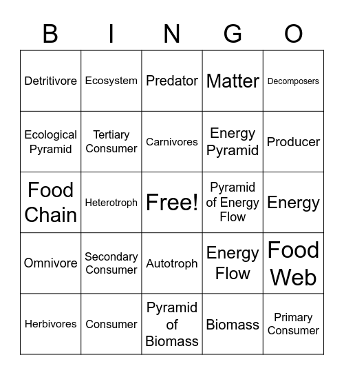 Flow of Matter and Energy Bingo Card