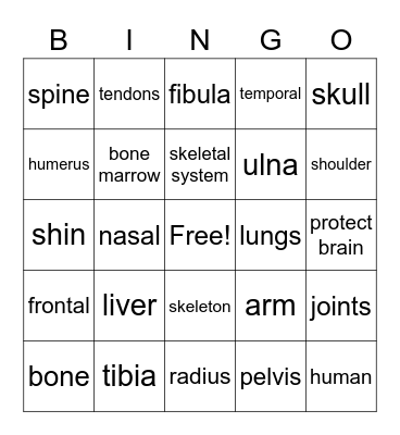 Skeletal System Bingo Card