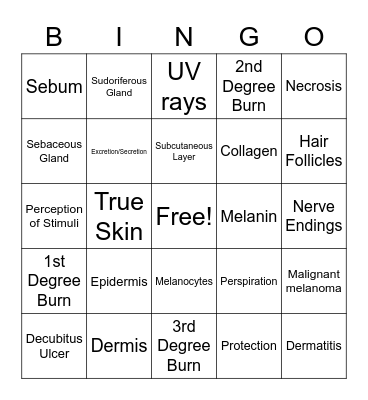 Integumentary System Bingo Card