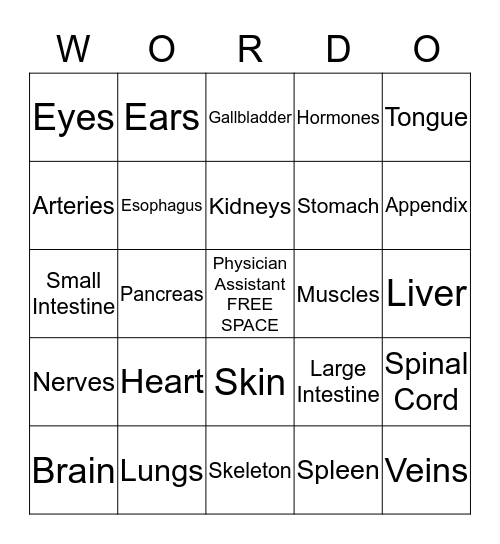 Anatomy WORD-O Bingo Card