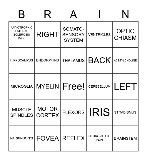 Brain Bingo Card