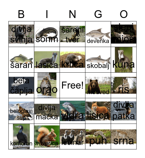 Životinje i staništa Bingo Card