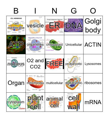 CELL BINGO Card