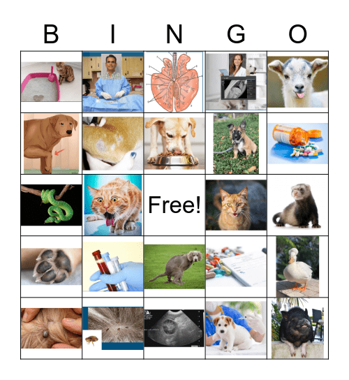 Loteria Night Bingo Card