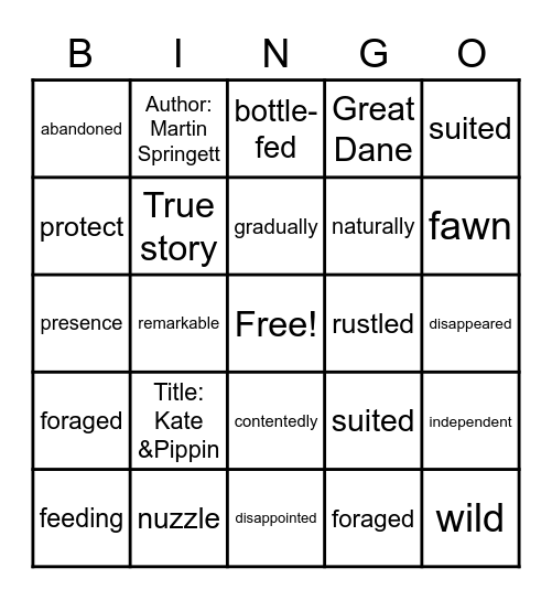 Kate and Pippin Vocabulary Bingo Card