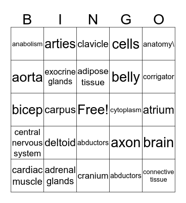 Anatomy & Physiology Bingo Card