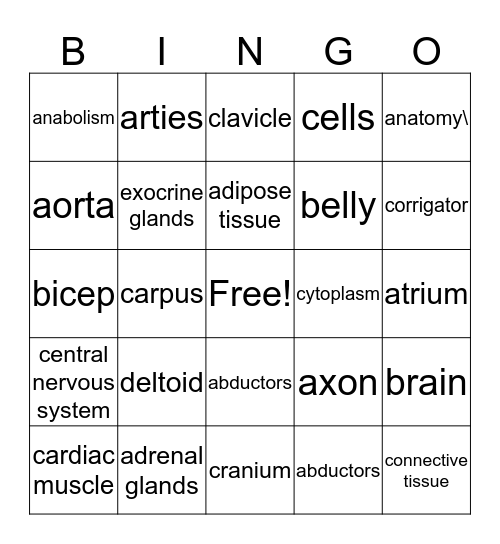 Anatomy & Physiology Bingo Card