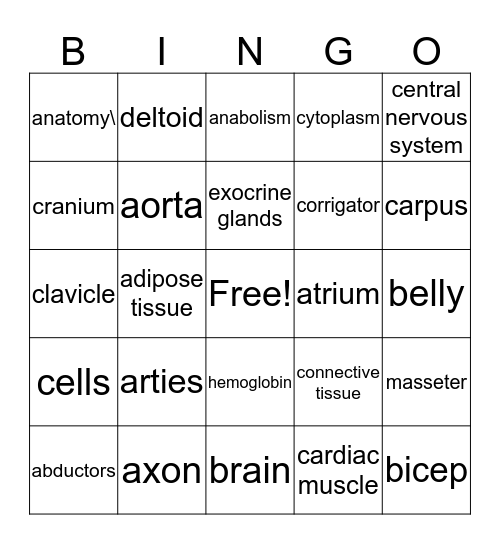 Anatomy & Physiology Bingo Card
