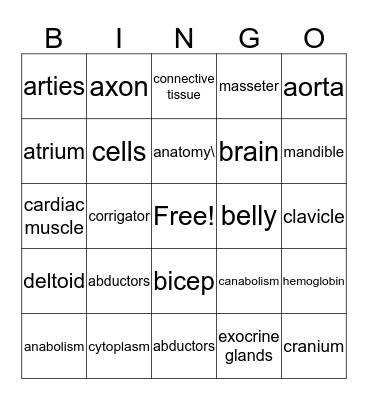 Anatomy & Physiology Bingo Card