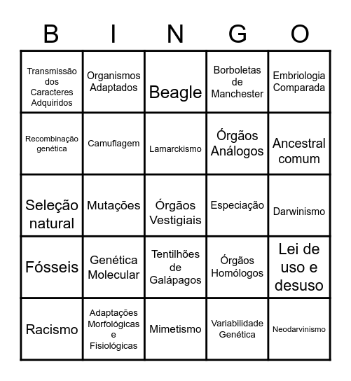 EVOLUÇÃO Bingo Card