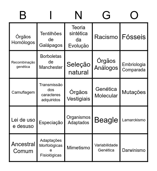 EVOLUÇÃO Bingo Card