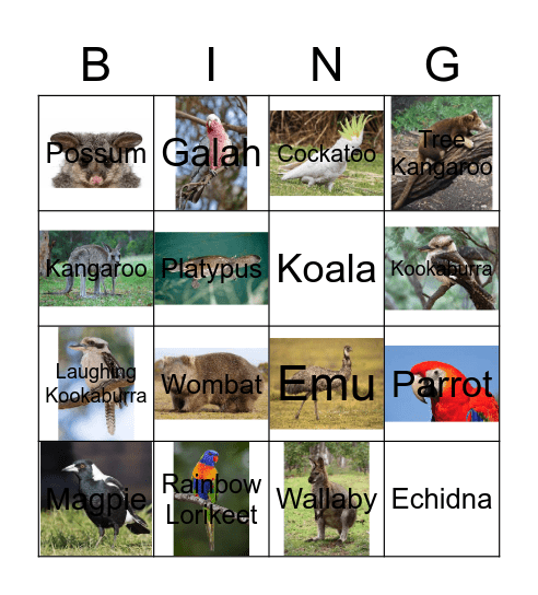 Australian Animal Bingo Card