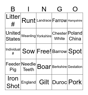 Swine Production Bingo Card