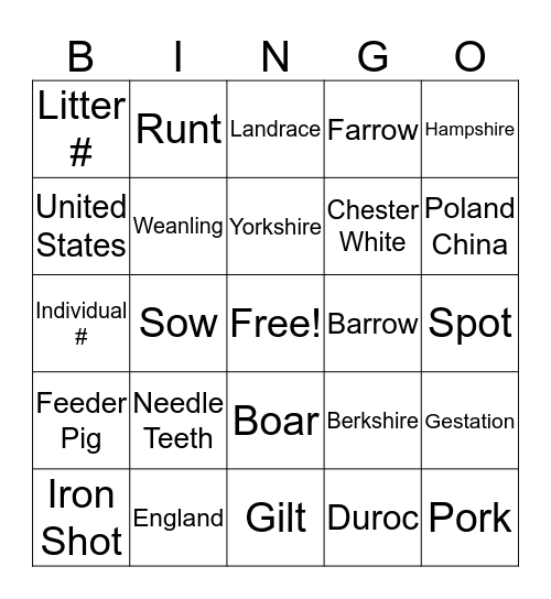 Swine Production Bingo Card