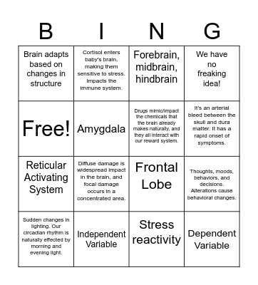 PSY252 COGNEURO Review Bingo Card