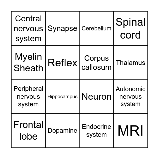 Biopsychology Bingo Card