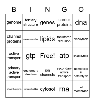 Quiz Study Guide Bingo Card